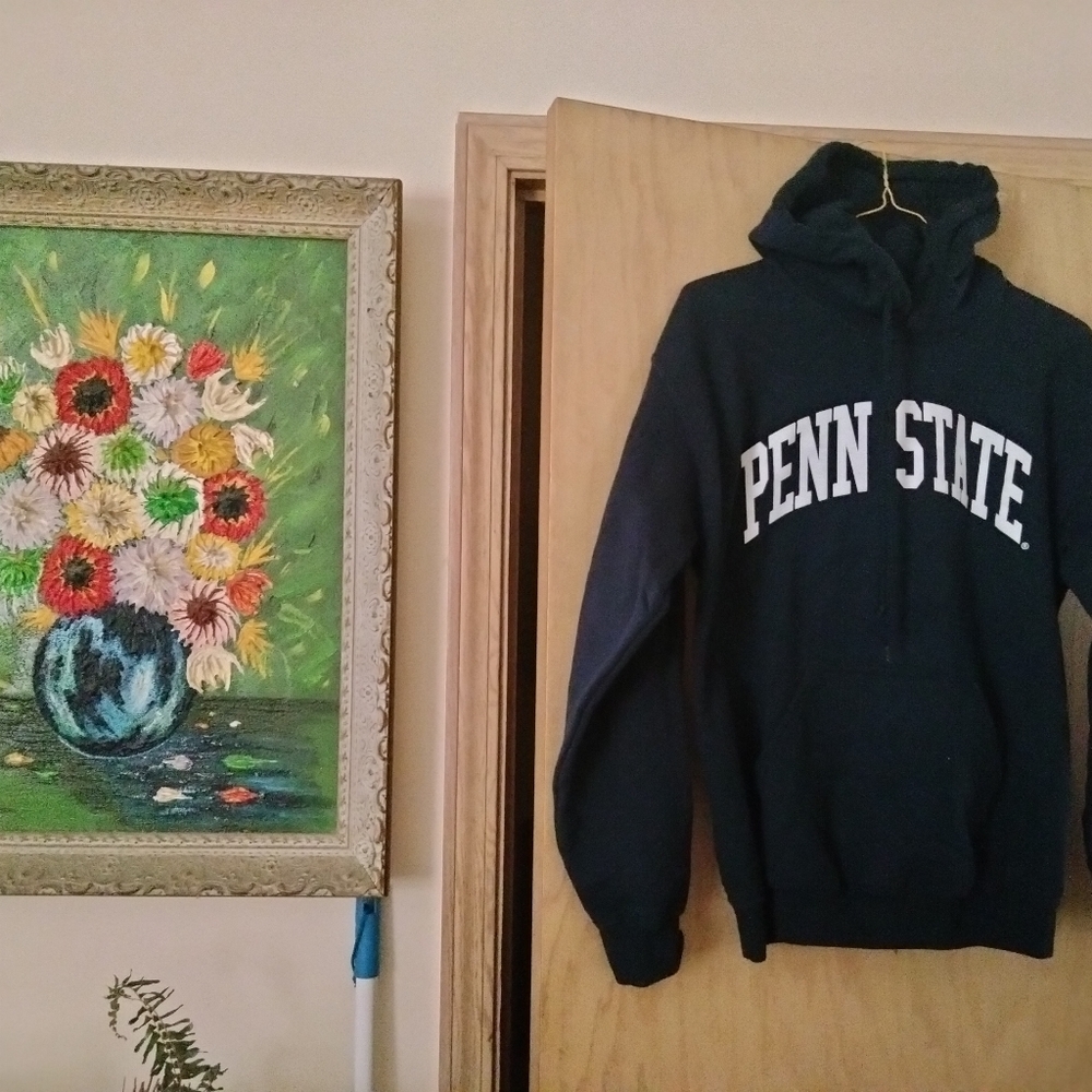 Super nice GILDAN Hoodie for Boys and Girls. Size Small. New with No Tag